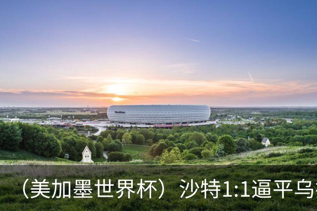 （美加墨世界杯）沙特1:1逼平乌拉圭 伊朗2:2战平新西兰